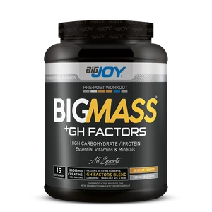Bigjoy BIGMASS Gainer GH FACTORS