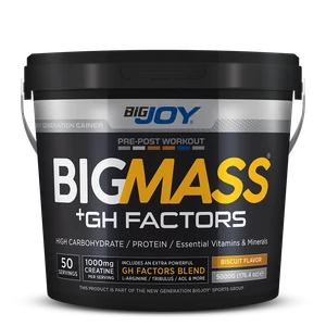 Bigjoy BIGMASS Gainer