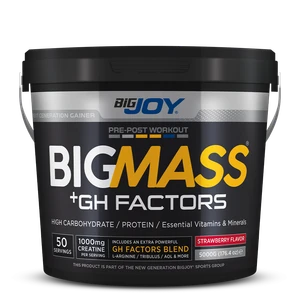 Bigjoy BIGMASS Gainer GH FACTORS